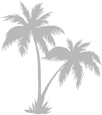 palmtreeblack